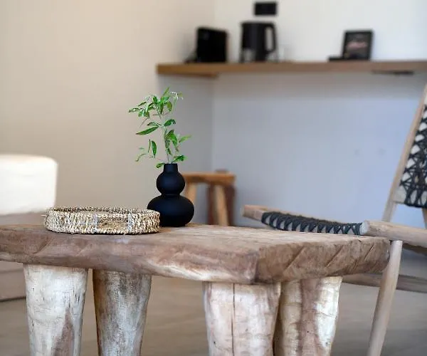 Отель Elies Aesthetic Living Nea Iraklitsa